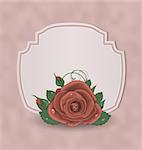 Illustration retro cute card with red rose - vector