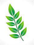 abstract eco green leaf icon vector illustration