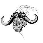 Buffalo bull head vector animal illustration for t-shirt. Sketch tattoo design.