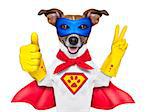 super hero dog with  red cape and a  blue mask und thumb up