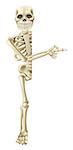 A cartoon skeleton character peeping round a Halloween banner or sign and pointing at its contents