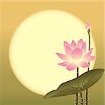 Mid Autumn Festival Lotus Flower on Full Moon Background