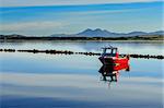 Small red boat in the water of peaceful harbour