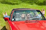 Smiling young couple relaxing in classy cabriolet on a sunny day