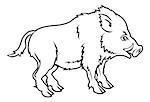 An illustration of a stylised boar perhaps a boar tattoo