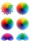 abstract colorful flowers, set of vector design elements