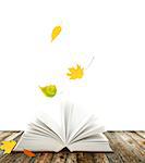 Book of nature and autumn leaves. Isolated on white background