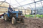 Organic farmer on tractor maintaining soil in polytunnel