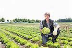 Portrait of organic farmer harvesting lettuce