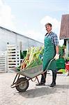 Portrait of organic farmer with wheelbarrow of rhubarb