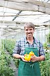 Portrait of organic farmer holding yellow peppers