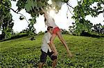 Young man lifting young woman to tree branches