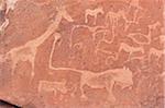 Close-up of Petroglyphs (or rock engravings), Twyfelfontein, UNESCO World Heritage site, Damaraland, Kunene Region, Namibia, Africa