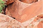 Petroglyphs (or rock engravings), Twyfelfontein, UNESCO World Heritage site, Damaraland, Kunene Region, Namibia, Africa