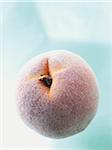 Close-up of frozen peach, studio shot