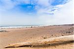 Skeleton Coast, Namib Desert, Namibia, Africa