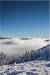 View of cloudy valley from Mount Ashland, Southern Orgon, USA