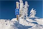 No Parking sign, Mount Ashland Ski Resort, Southern Oregon, USA