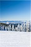 Mount Ashland Ski Resort, Southern Oregon, USA