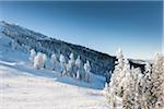 Mount Ashland Ski Resort, Southern Oregon, USA