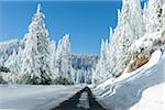 Snowy Road up Mount Ashland, Southern Oregon, USA