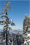 View towards Ashland from Mount Ashland Ski Resort, Southern Oregon, USA