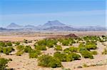 Scenic view of desert landscape, Damaraland, Kunene Region, Namibia, Africa