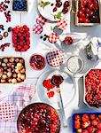 Assorted berries and cherries for bottling