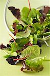 Mixed salad leaves in a sieve