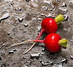 Two radishes on wet wood