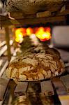 Freshly baked loaves on a shelf in front of the wood-fired oven at the bakery