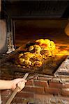 Freshly baked bread rolls on a baking tray in a wood-fired oven