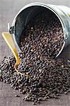 Lentils pouring out of an overturned bucket