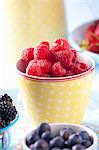 Fresh raspberries, blackberries and blueberries in bowls