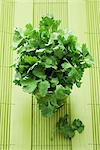 Fresh coriander in a glass of water