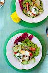 Egg salad with cucumber, tomatoes, chives and radicchio