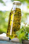 Home-made oregano oil