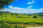 A panoramic view over the wine-growing region of Badacsony, Lake Balaton, Hungary