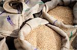 Close-up of sacks of wheat, Anaj Mandi, Sohna, Gurgaon, Haryana, India