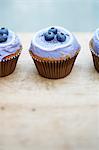 Blueberry cupcakes