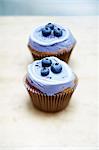 Blueberry cupcakes