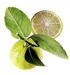 Cut-out limes