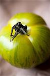 Green Zebra tomato