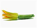 Small zucchini and flower