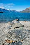 Lake Wakatipu at Queenstown, Otago, South Island, New Zealand, Pacific