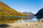 Lake Gunn mountain reflections, Fiordland National Park, UNESCO World Heritage Site, South Island, New Zealand, Pacific