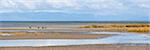 Birds and mountains at Farewell Spit, Golden Bay, Tasman Region, South Island, New Zealand, Pacific