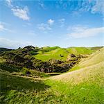 Countryside on the walk to Wharariki Beach, Wharariki, Golden Bay, Tasman Region, South Island, New Zealand, Pacific