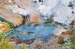 Hot pool on the Rainbow Terrace at Orakei Korako Geyserland, The Hidden Valley, North Island, New Zealand, Pacific