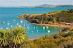 Sailing boats on Waiheke Island, Auckland, North Island, New Zealand, Pacific